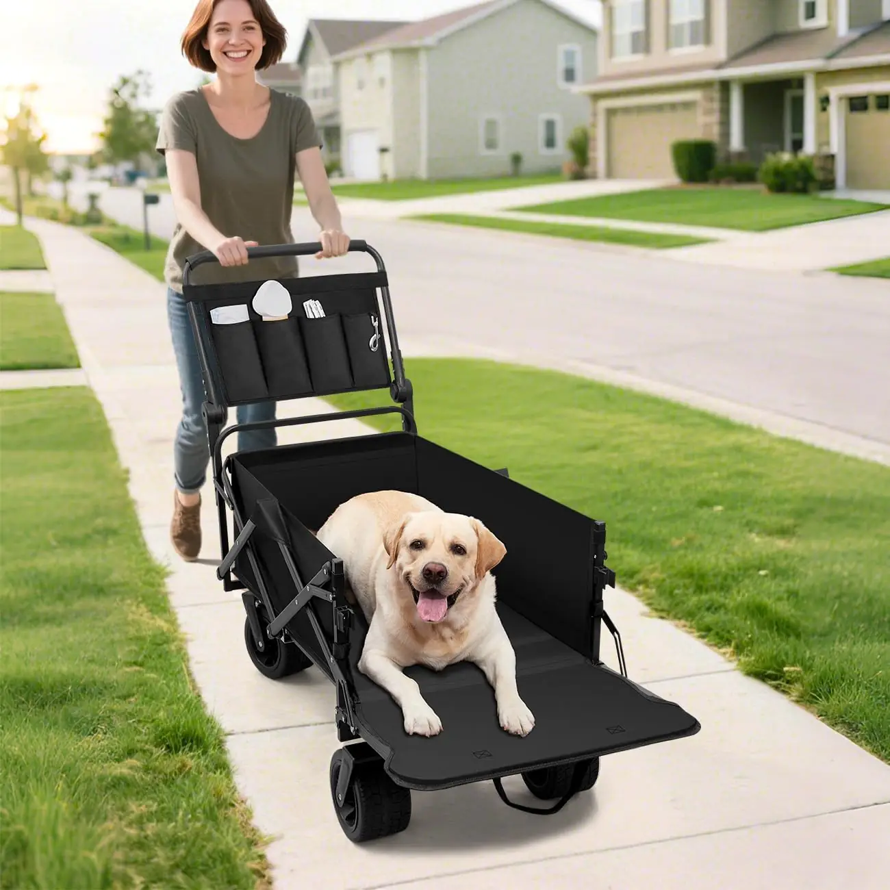 Carrito para perros grandes